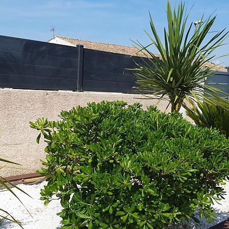 La Villa De L'Olivier Piscine Privee Et Parking Carcassonne Eksteriør billede
