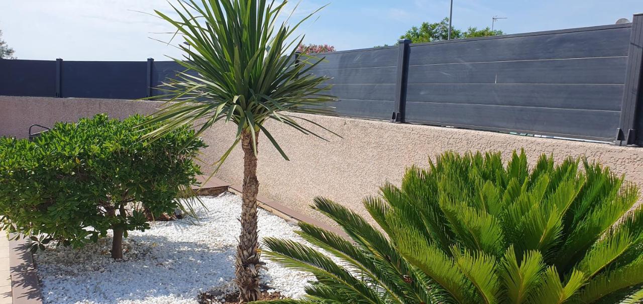 La Villa De L'Olivier Piscine Privee Et Parking Carcassonne Eksteriør billede