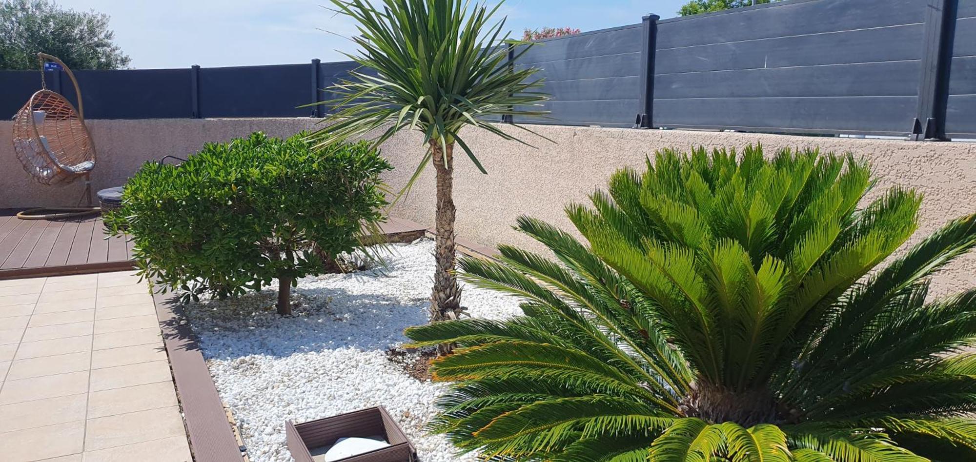 La Villa De L'Olivier Piscine Privee Et Parking Carcassonne Eksteriør billede
